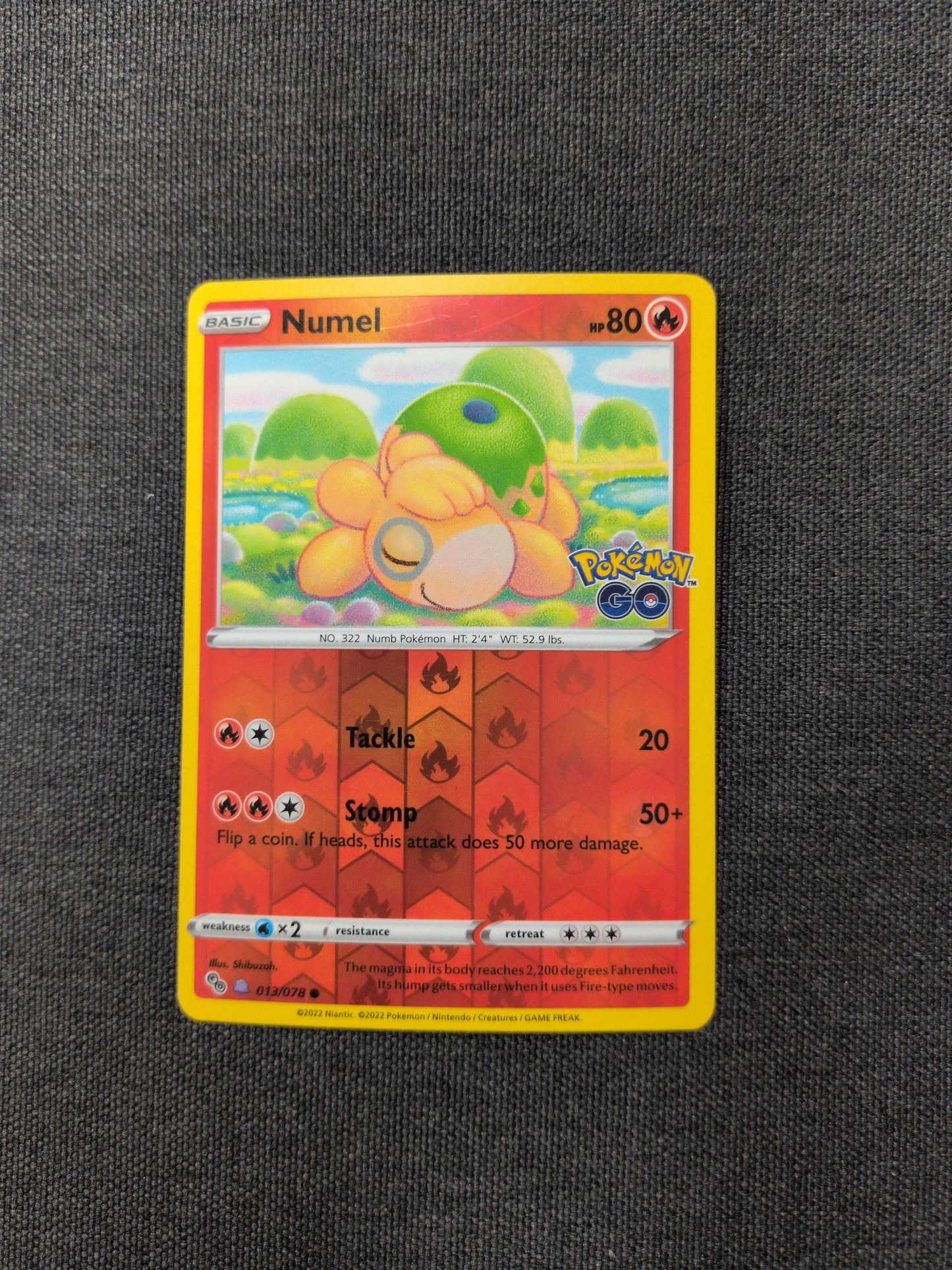 (PGO) Numel (Peelable Ditto) #013 LP