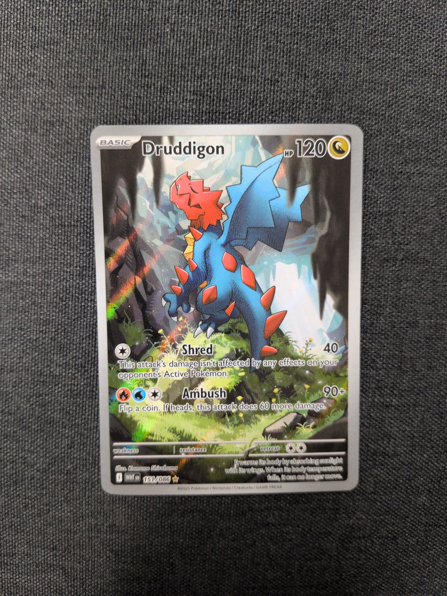 (WHT) Druddigon #151 LP
