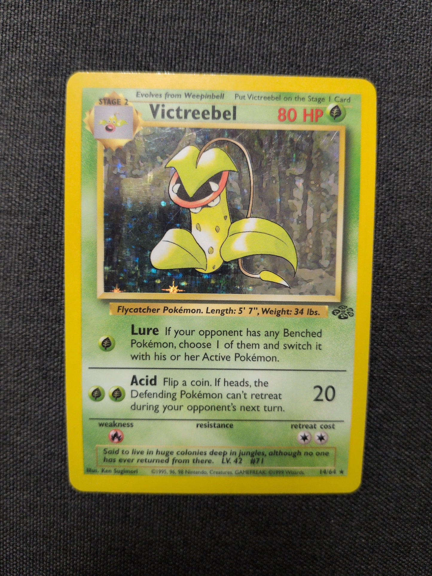 (JNG) Victreebel Holo #14 HP