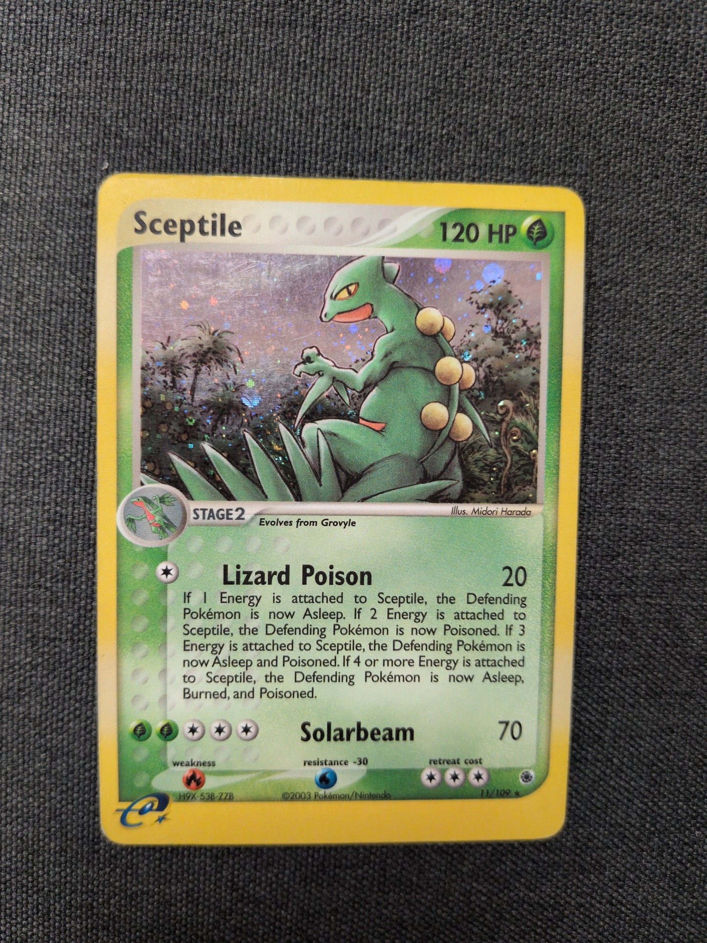 (RS) Sceptile Holo #11 DMG