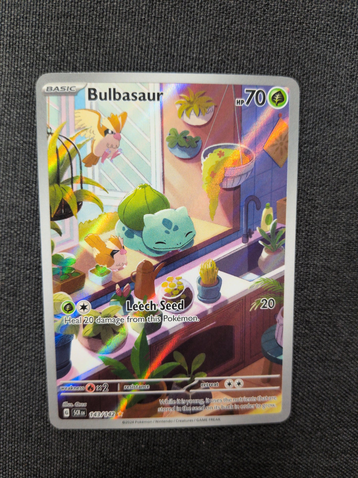 (SCR) Bulbasaur #143 NM
