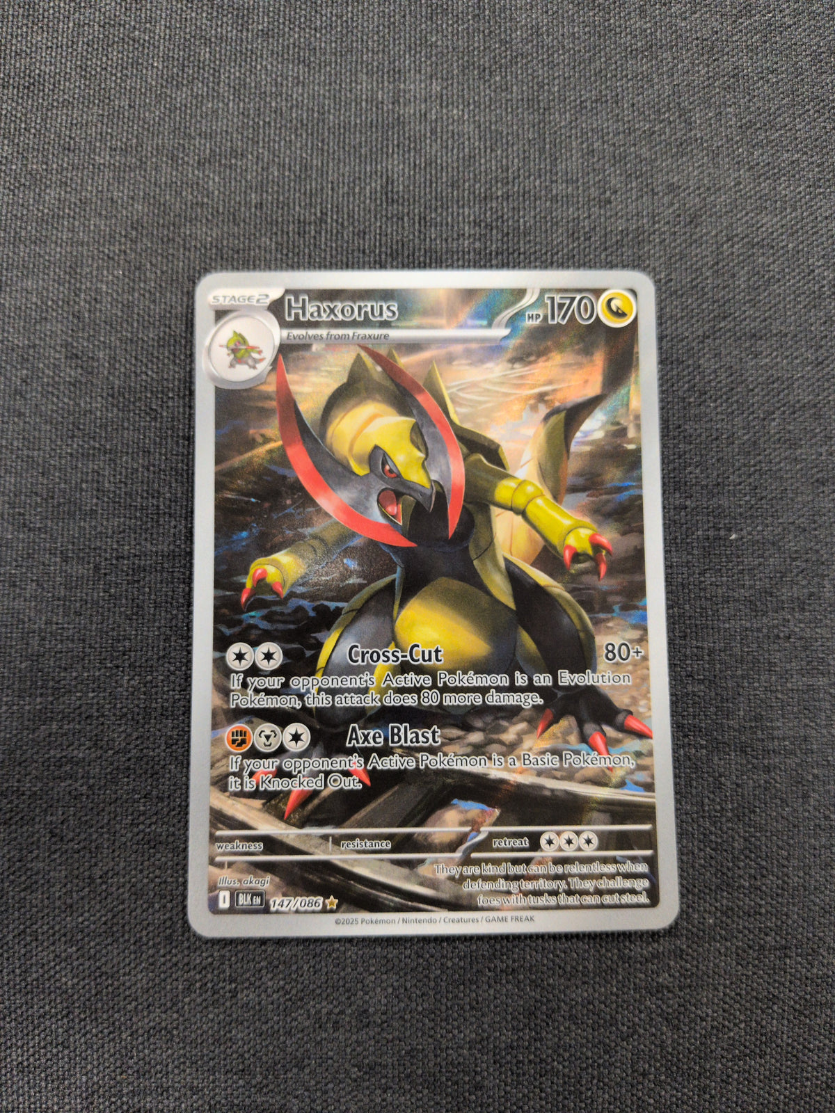 (BLK) Haxorus #147 NM