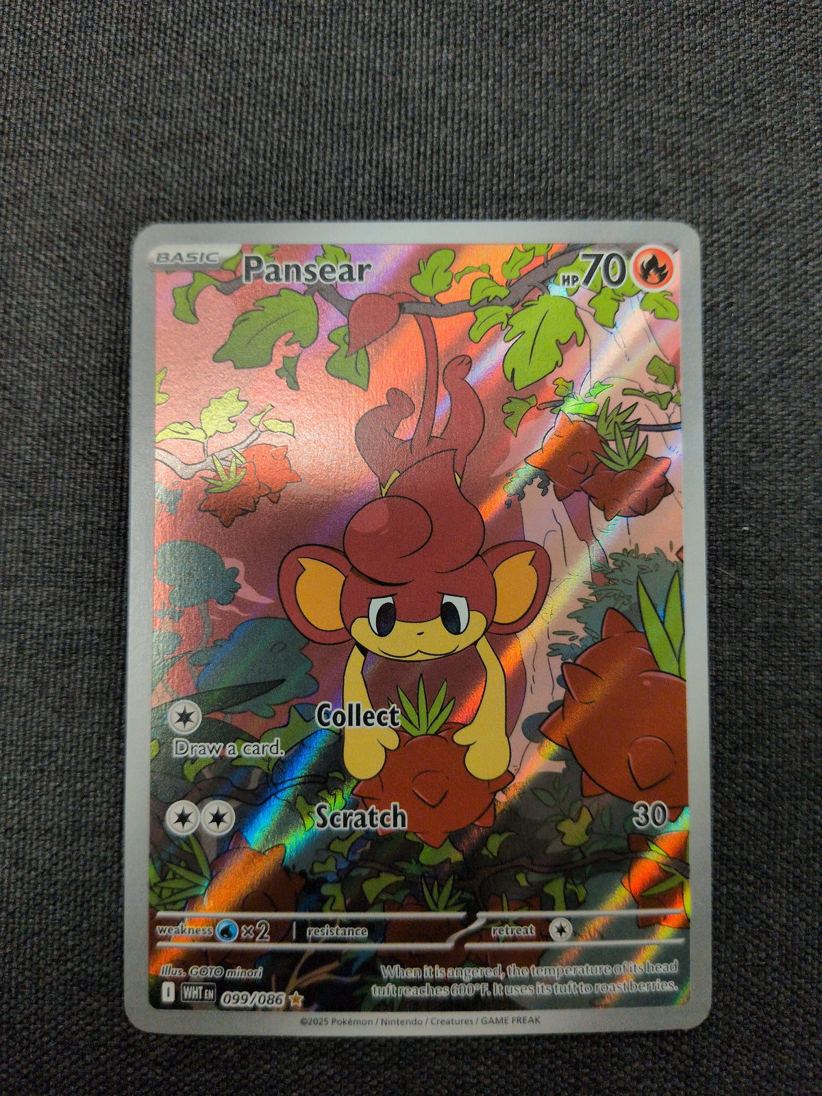 (WHT) Pansear #99 NM