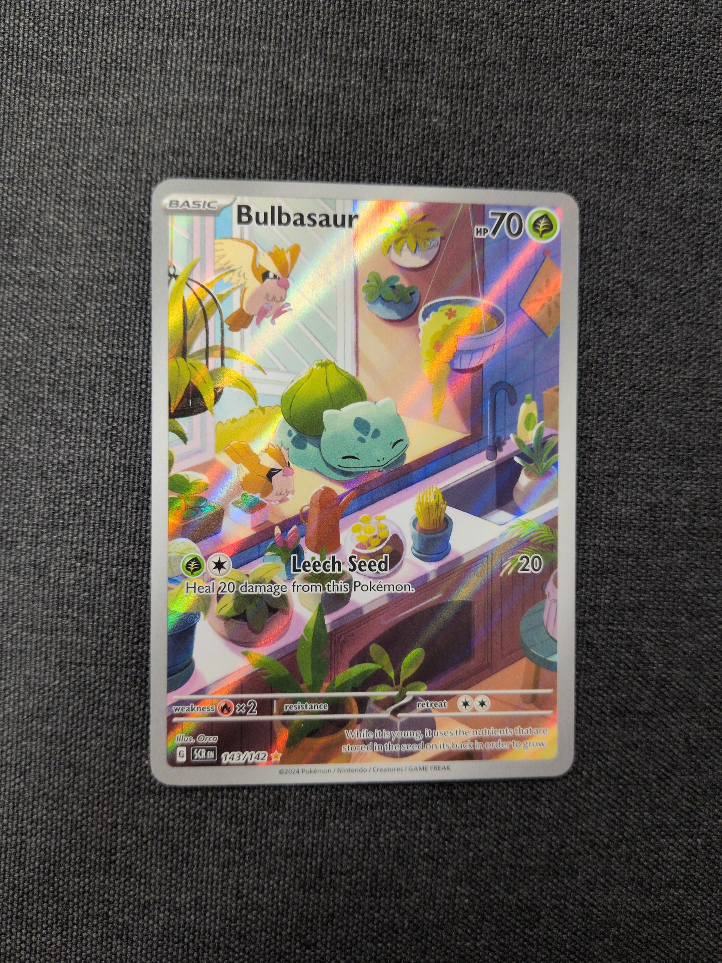 (SCR) Bulbasaur #143 LP