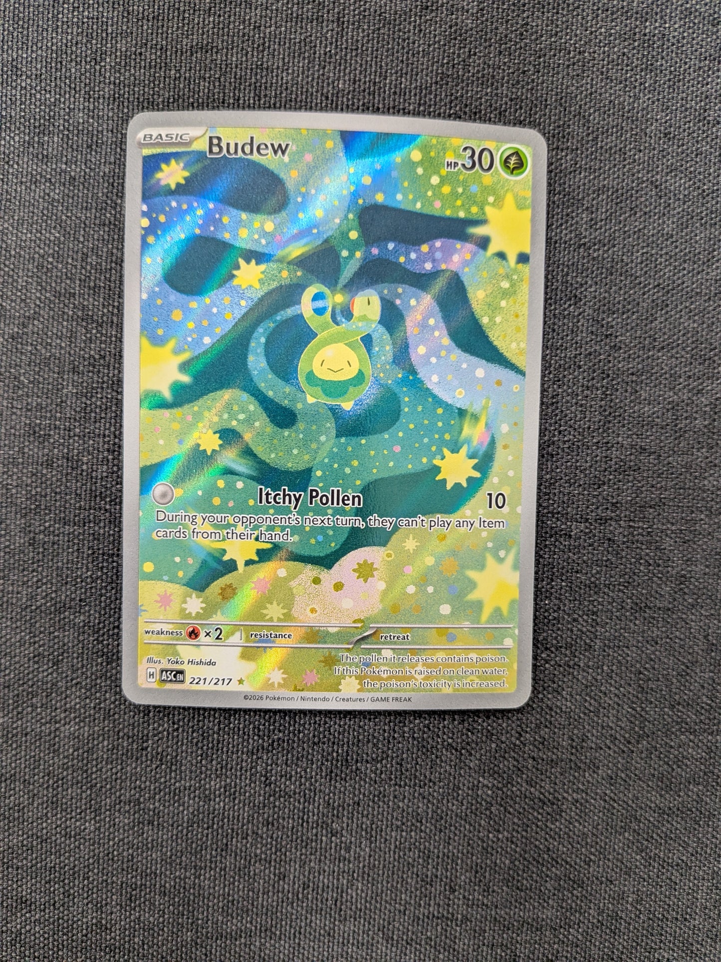 (ASC) Budew IR #2217/217 NM