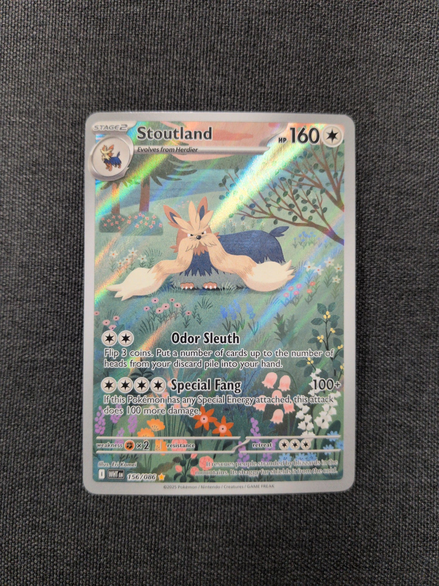 (WHT) Stoutland #156 NM