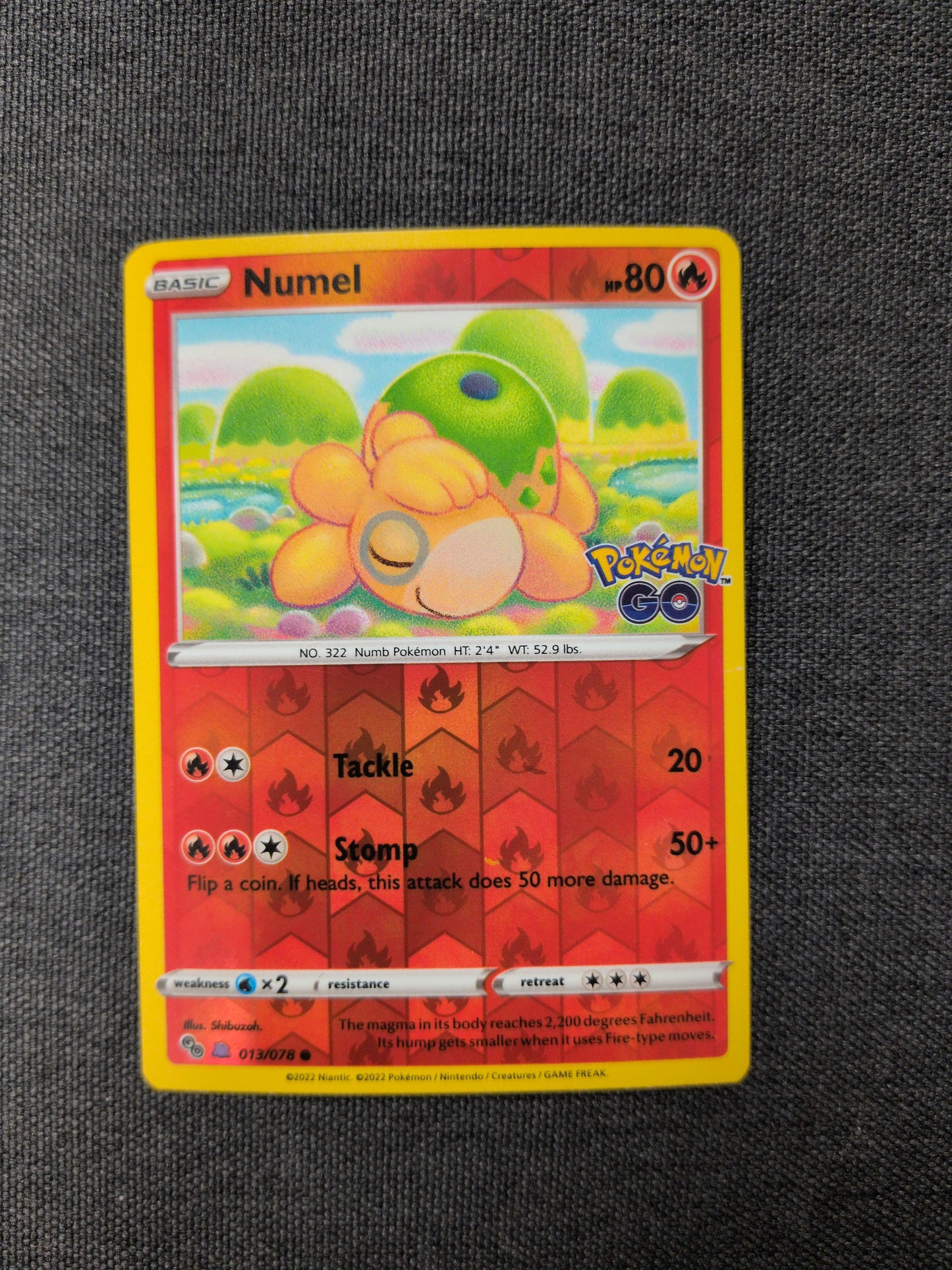 (PGO) Numel (Peelable Ditto) #013 NM