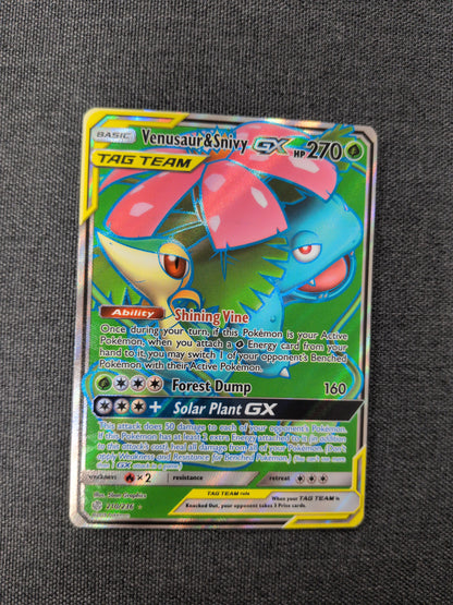 (SM12) Venusaur & Snivy GX #210 MP