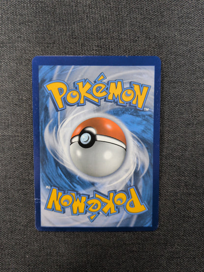 (EVO) M Charizard EX #101 DMG