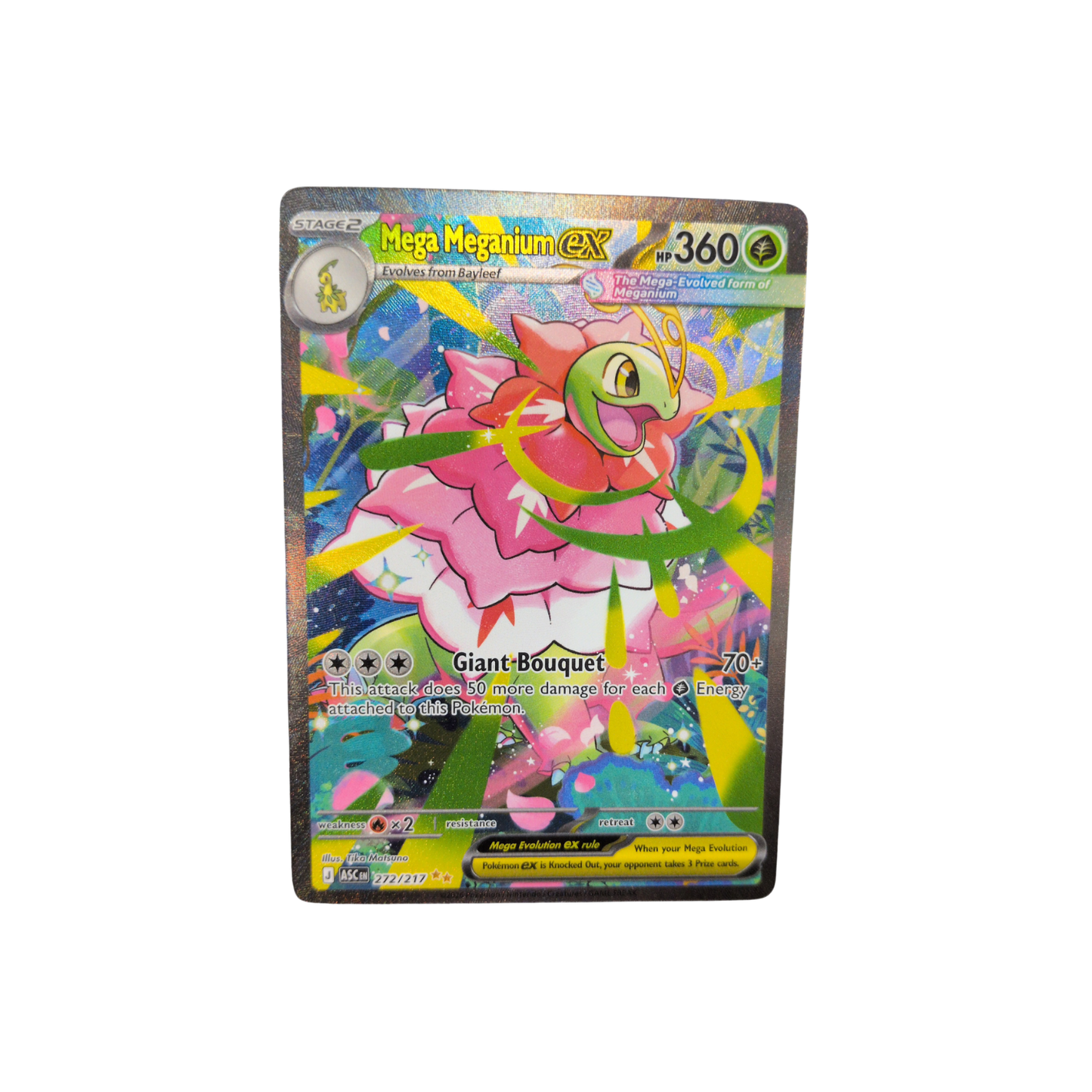 (ASC) Mega Meganium EX #272 NM