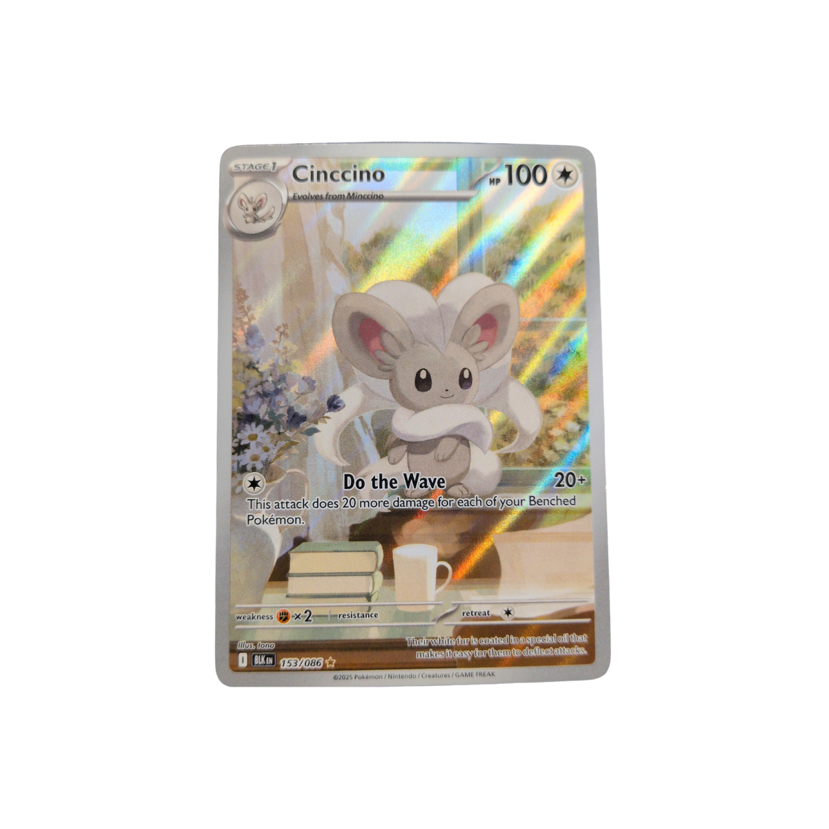 (BLK) Cinccino #153 NM