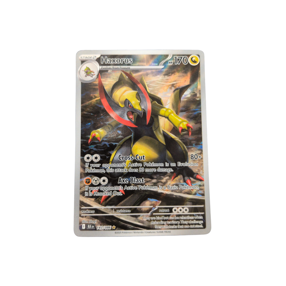 (BLK) Haxorus #147 NM