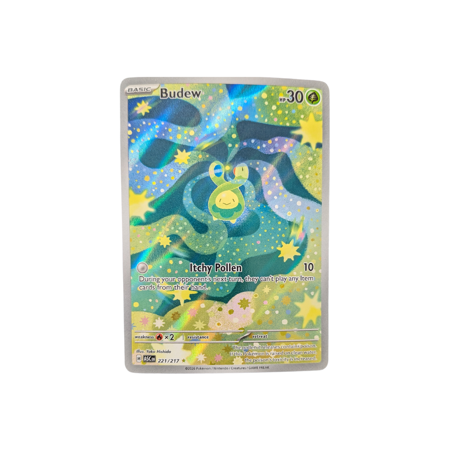 (ASC) Budew IR #2217/217 NM