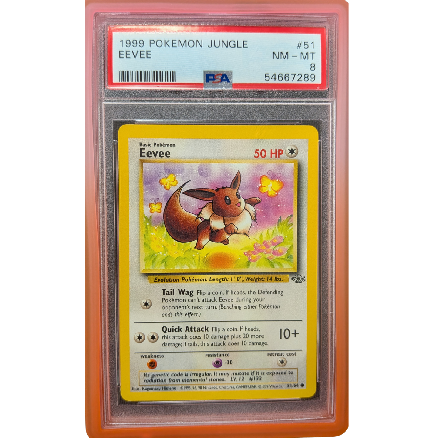 (JNG) Eevee #51 PSA 8 NM-MT