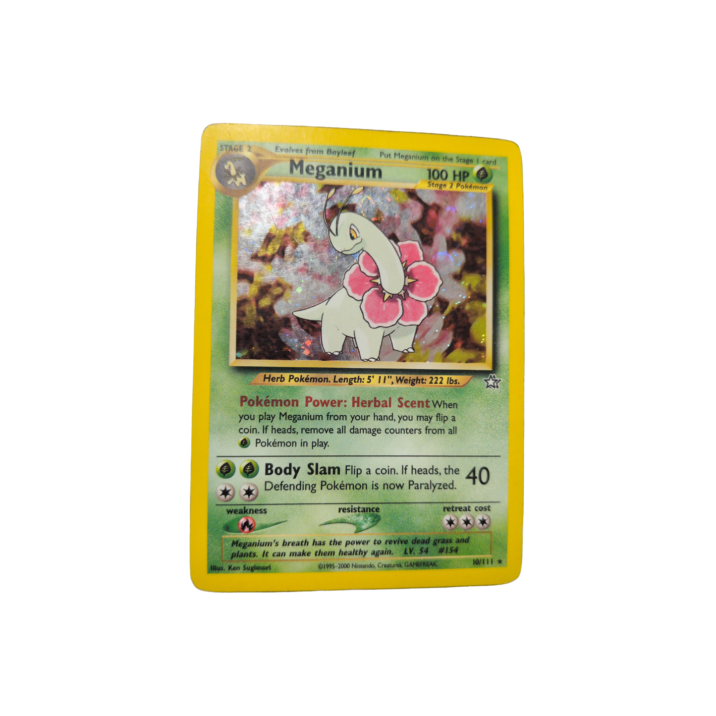 (N1) Meganium Holo #10 DMG