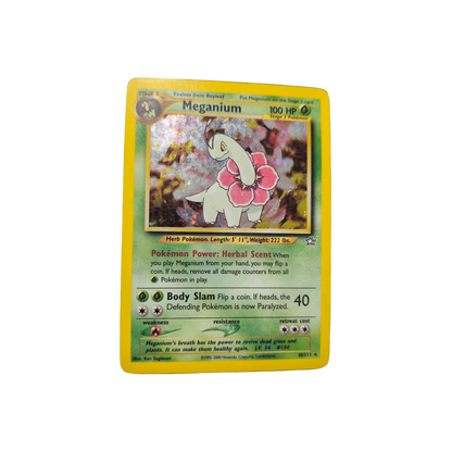 (N1) Meganium Holo #10 DMG