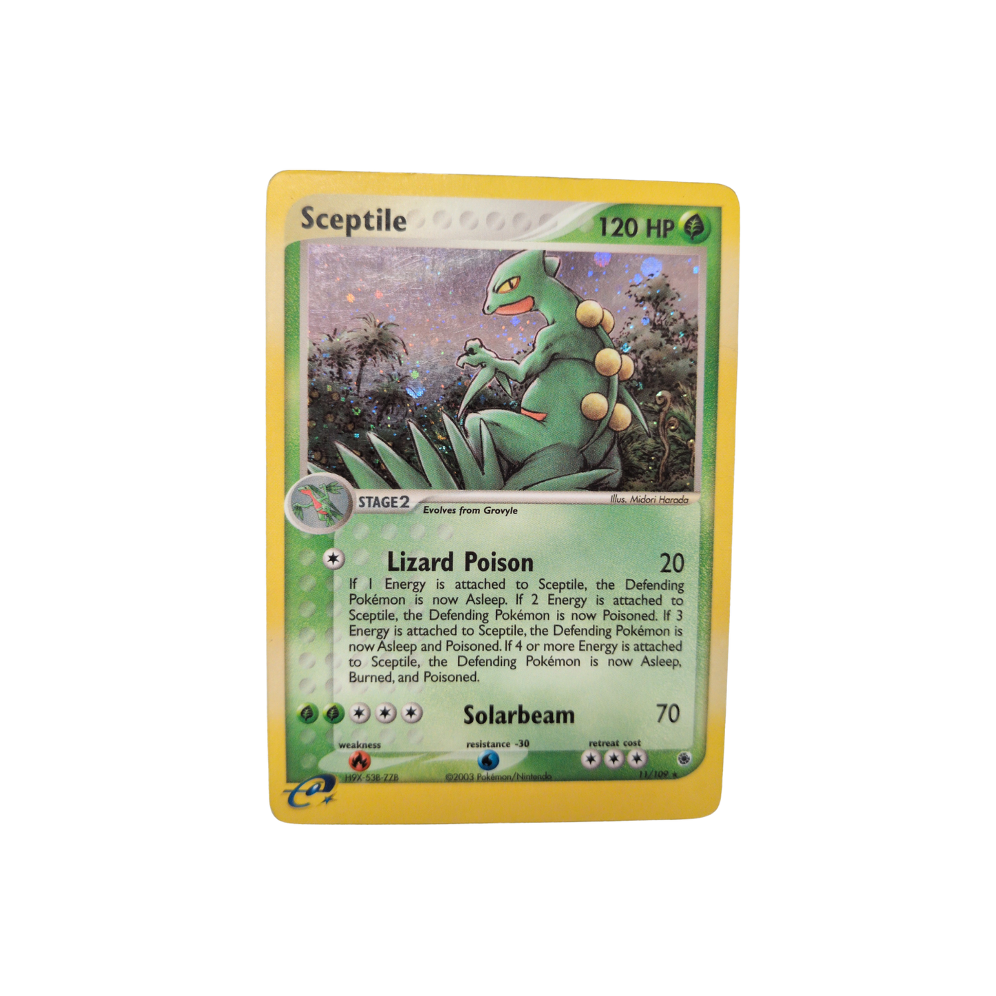 (RS) Sceptile Holo #11 DMG