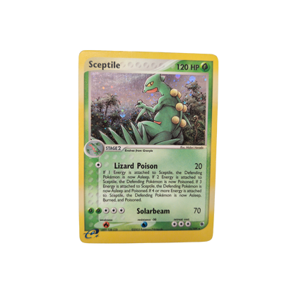 (RS) Sceptile Holo #11 DMG