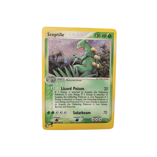 (RS) Sceptile Holo #11 DMG
