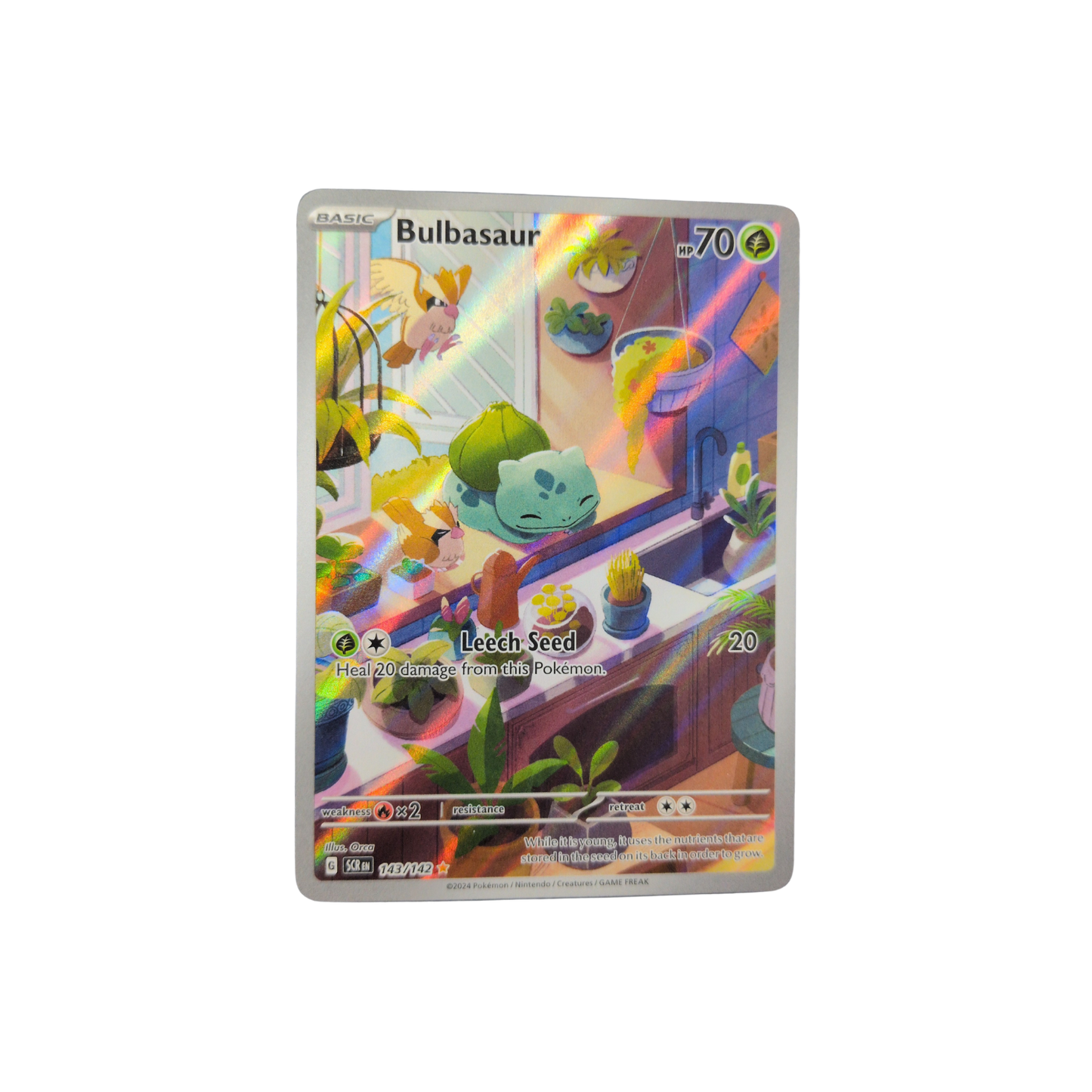 (SCR) Bulbasaur #143 LP