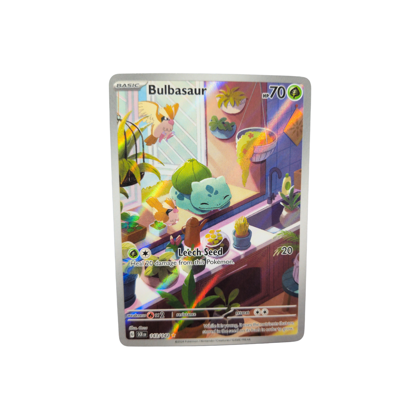 (SCR) Bulbasaur #143 NM