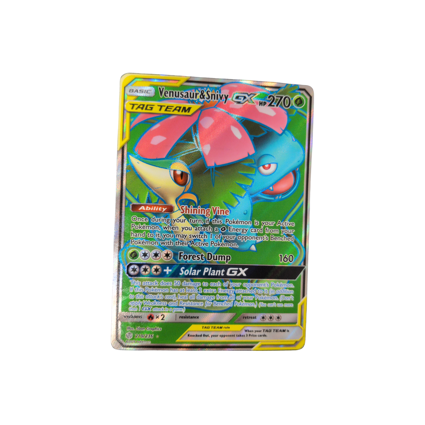(SM12) Venusaur & Snivy GX #210 MP