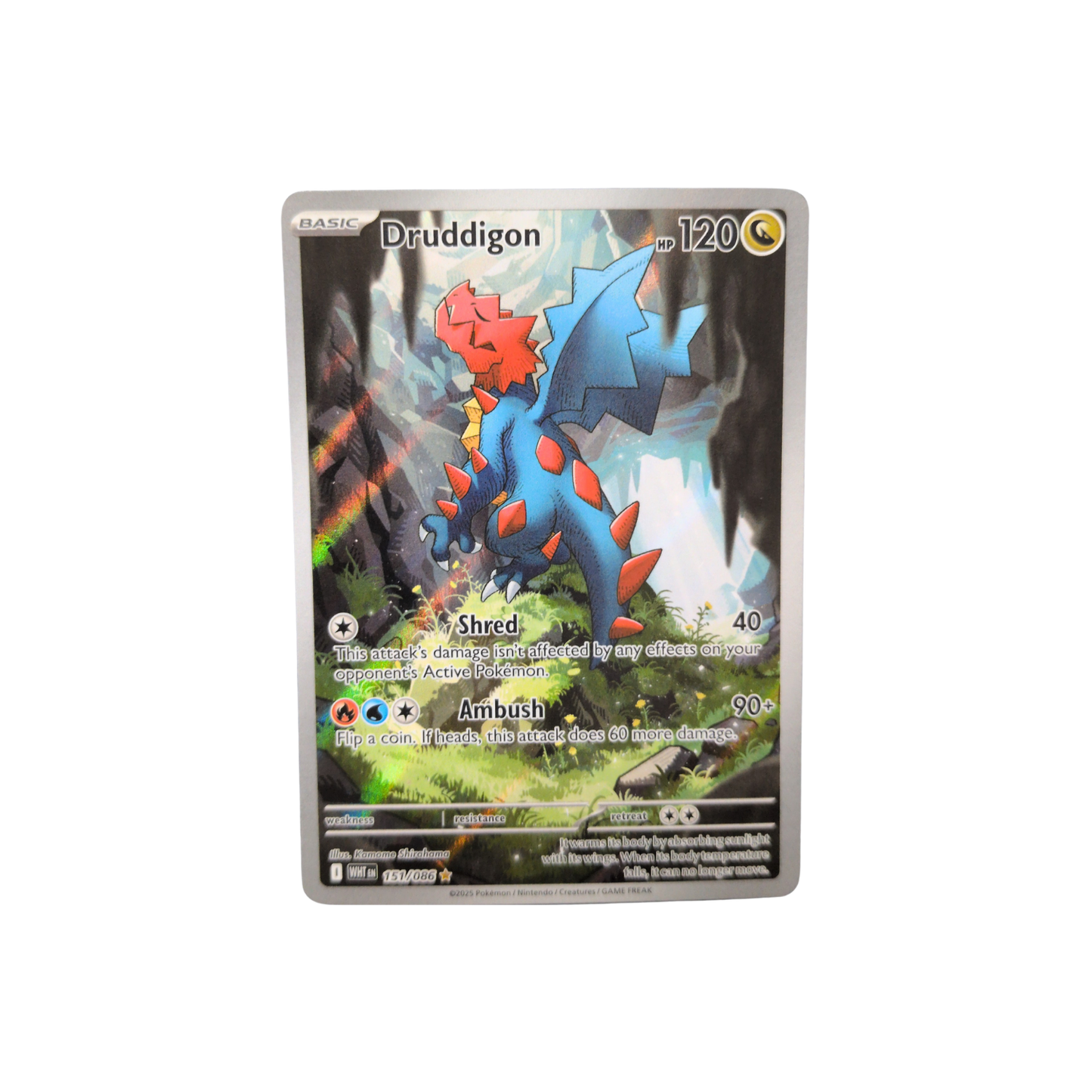 (WHT) Druddigon #151 LP