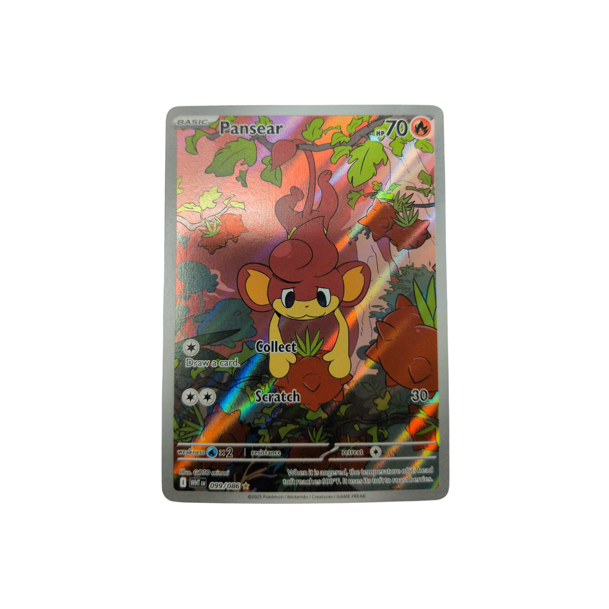 (WHT) Pansear #99 NM