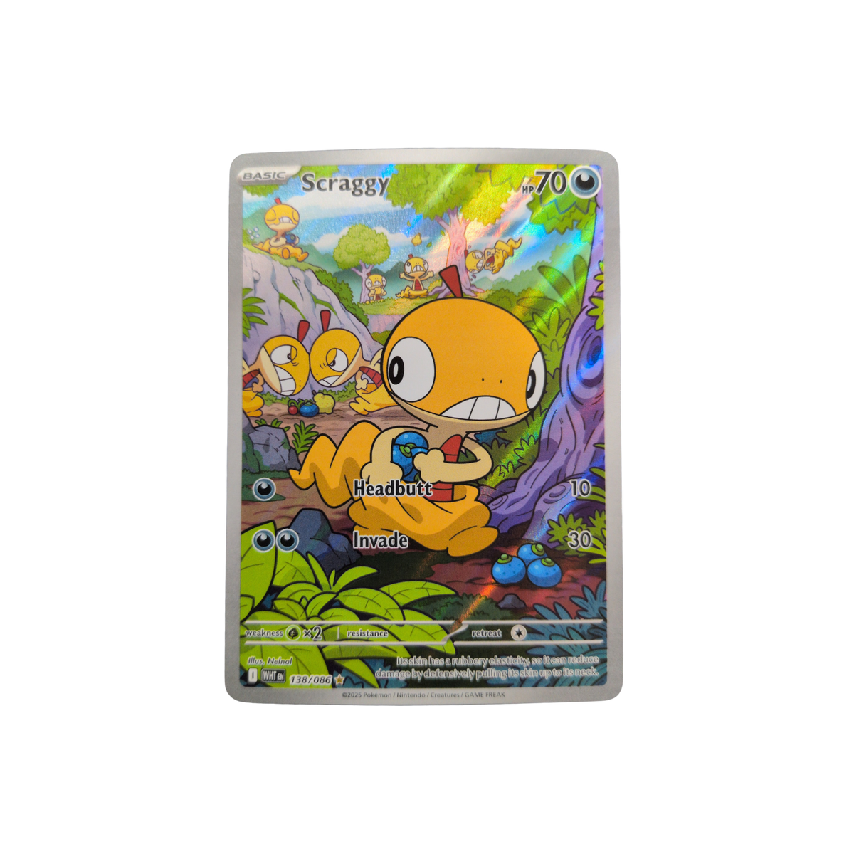 (WHT) Scraggy #138 NM