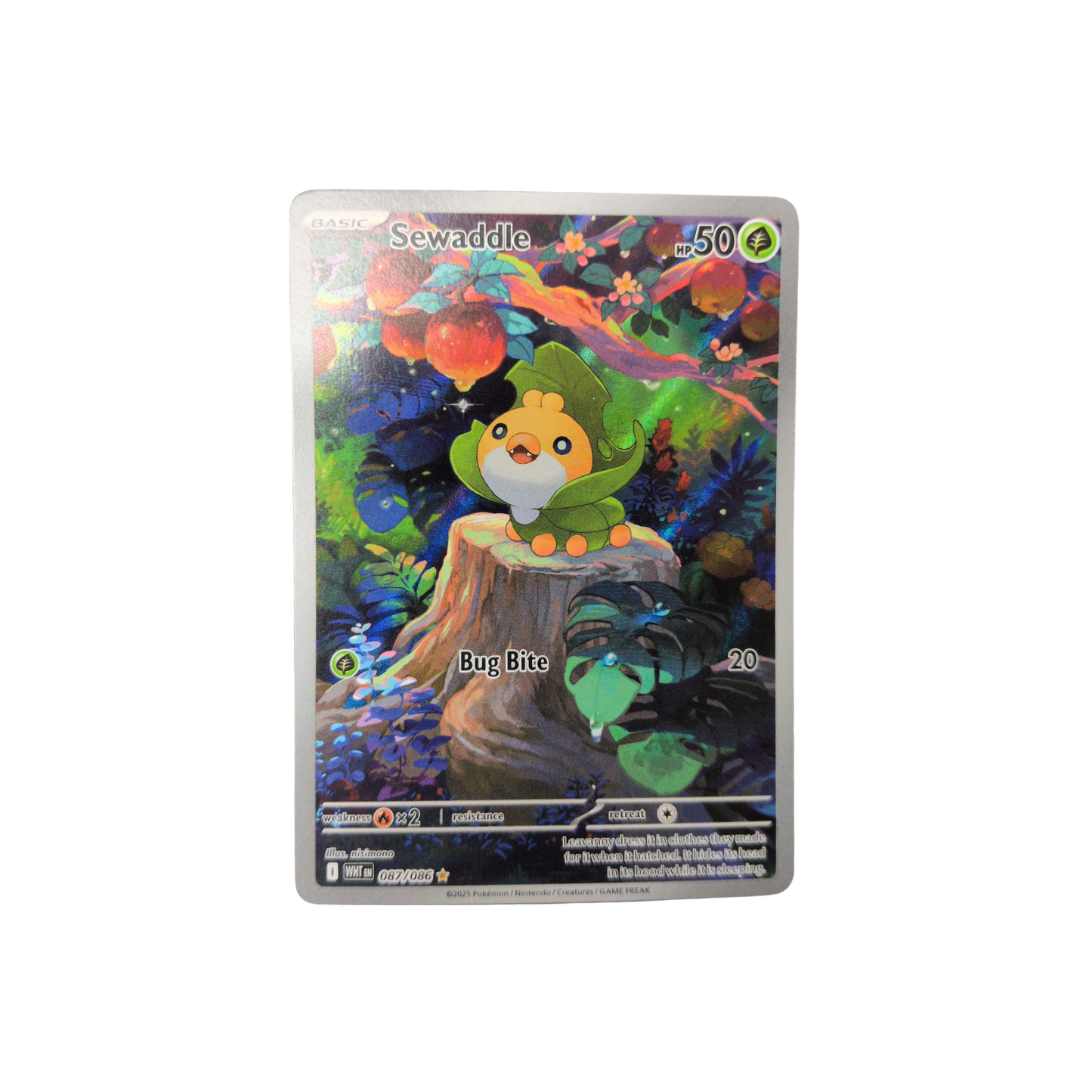 (WHT) Sewaddle #087 NM