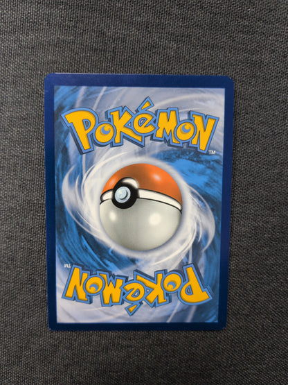 (Promo) Charizard VSTAR #SWSH262 NM