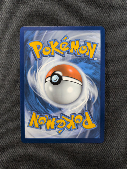 (SVI) Fidough #213 NM