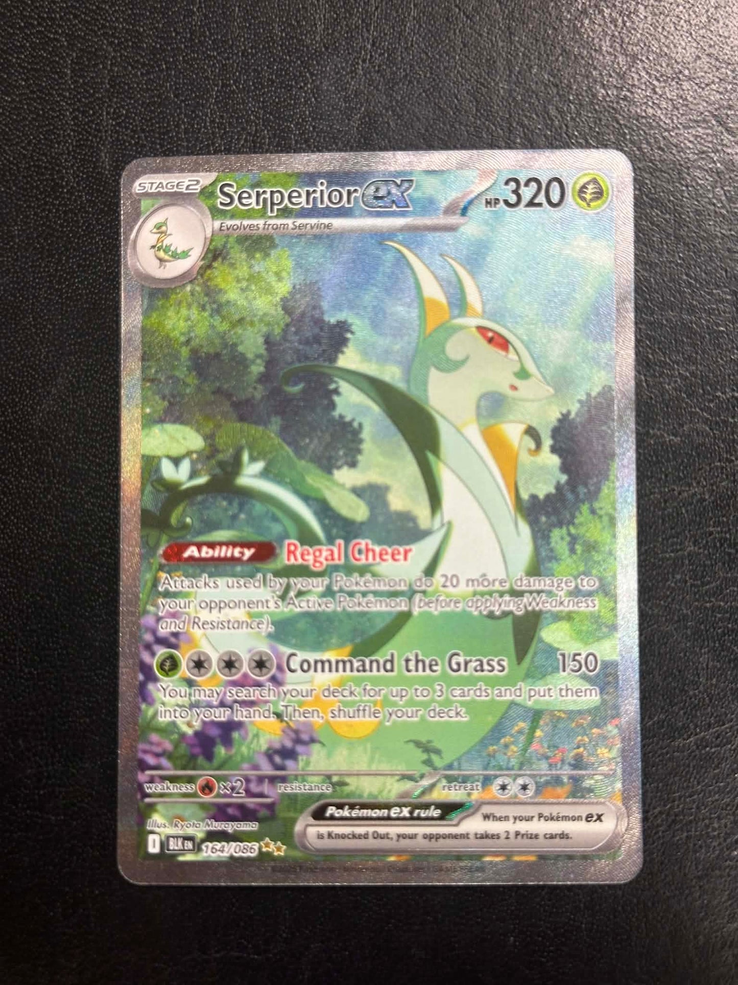 Serperior ex #164 - NM