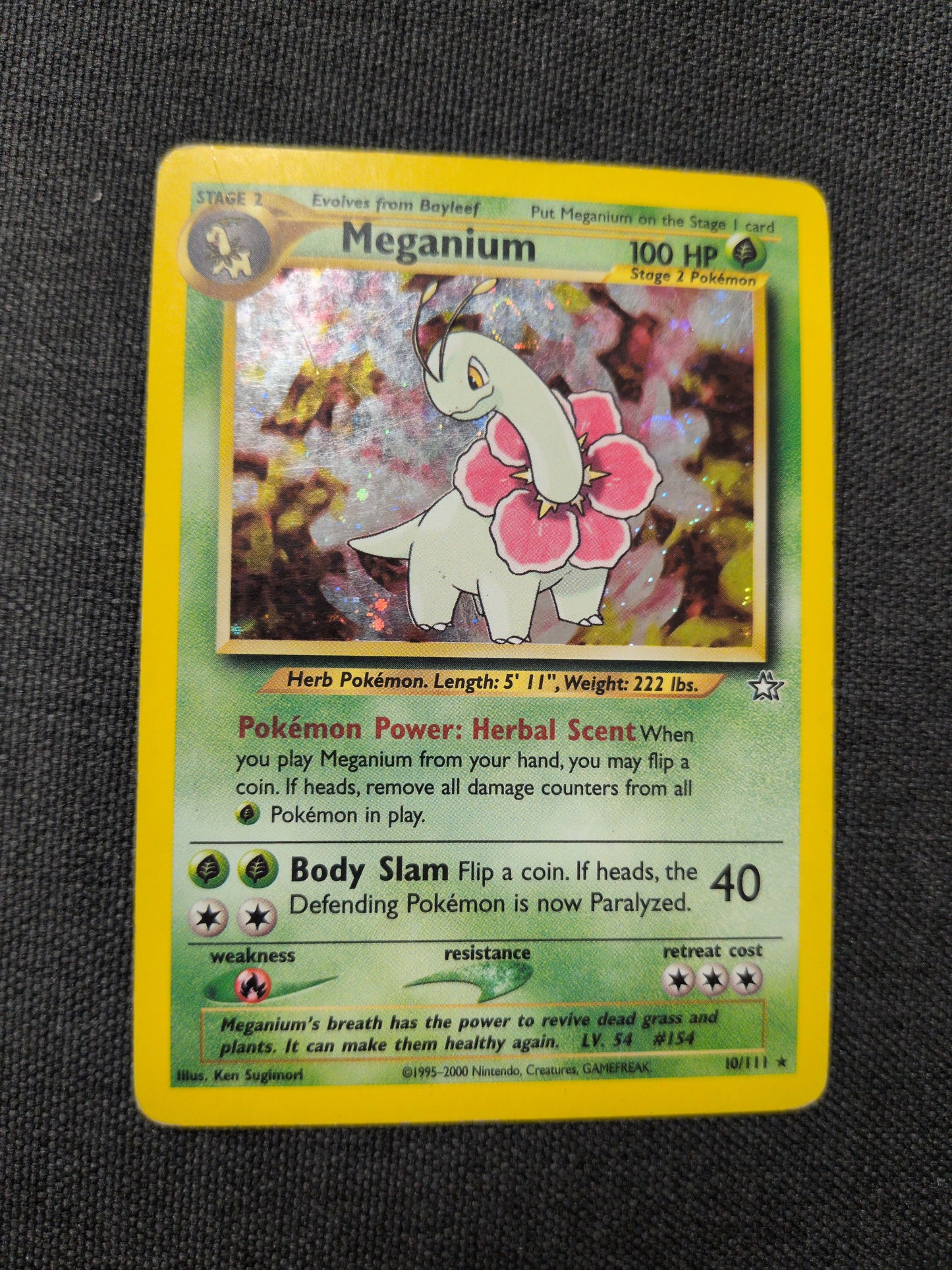(N1) Meganium Holo #10 DMG