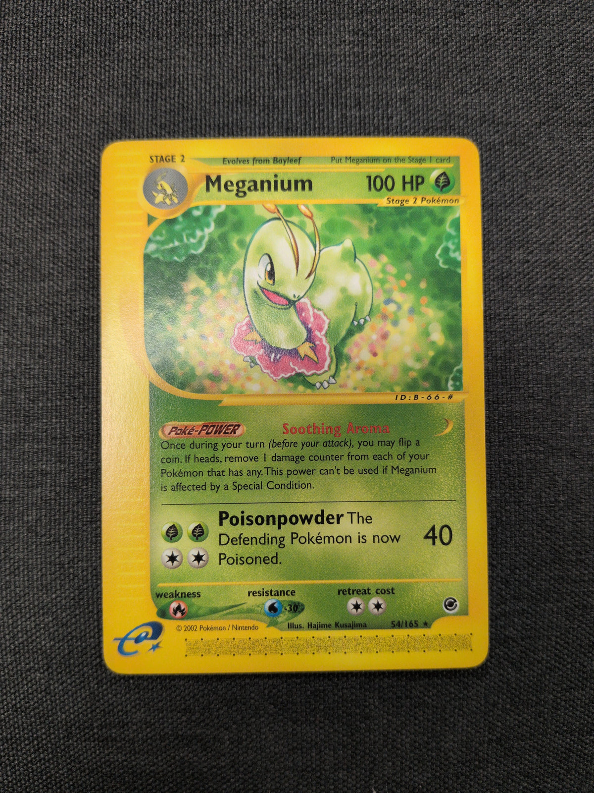 (EX) Meganium #54 LP