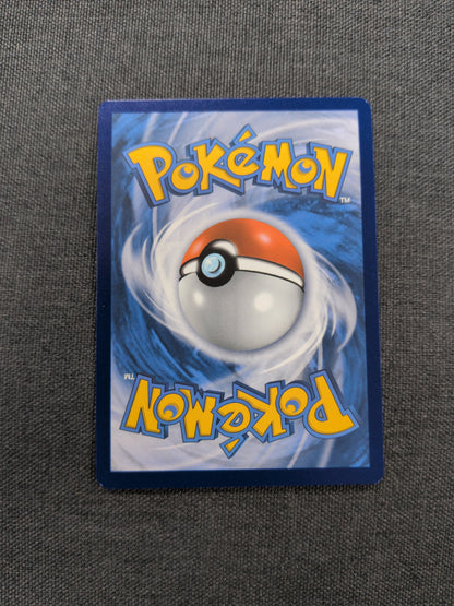 (Promo) Charizard V #SWSH260 NM
