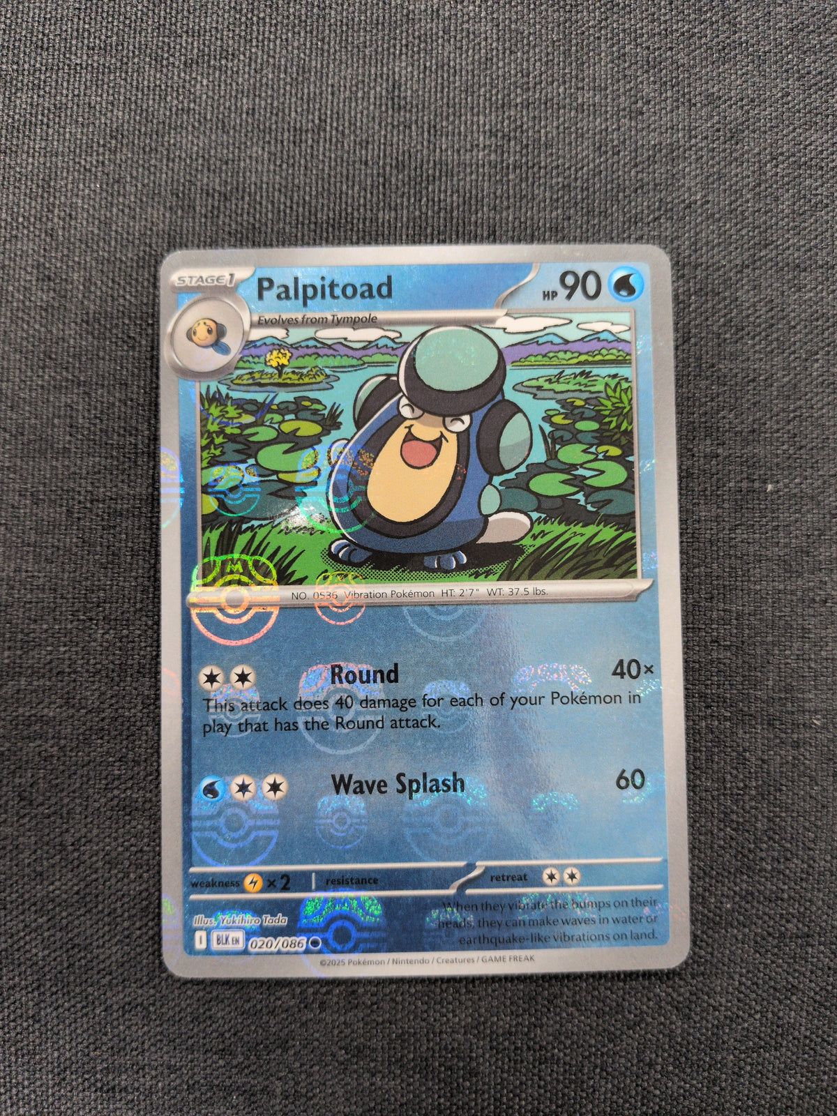 (BLK) Palpitoad Master Ball Reverse Holo #020 NM
